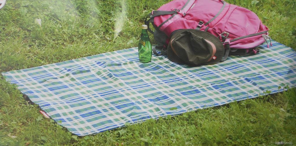 Coleman Leisure Sheet Mini 2000010657 (Green)