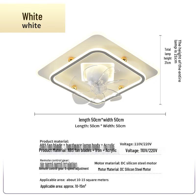 Oeny Modern Minimalist Ceiling Fan Light