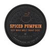 Elements Spiced Pumpkin Gothic Soy Wax