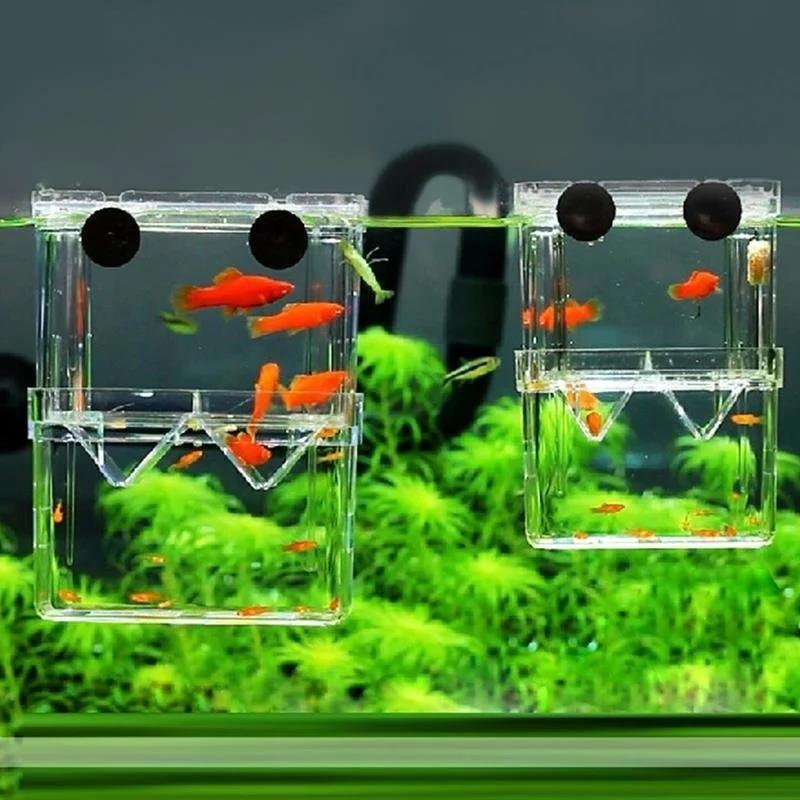 

Transparent Aquarium Fish Tank Aquaculture Isolation Box Household Pet Supplies Breeding Box Double Peacock Fish Incubator 7.9x11x7cm