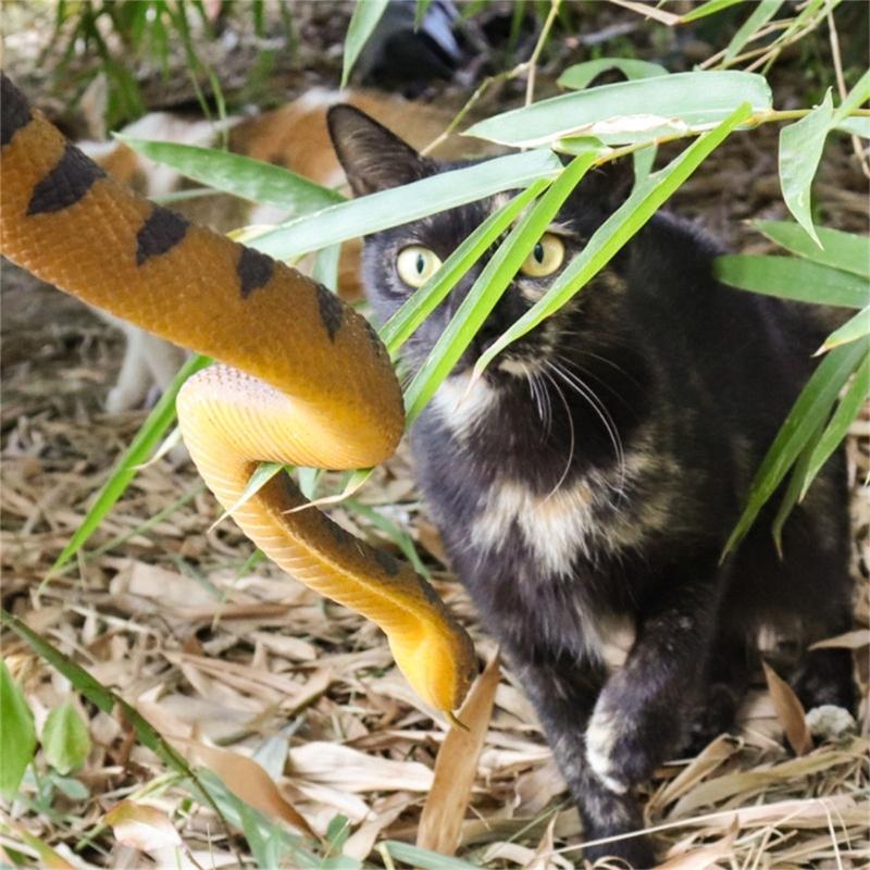 Weiches Gummischlangenmodell Realistisches Schlangen-Actionfigur-Spielzeug Solide Schlangenfigur für Halloween-Streich und Stressabbau