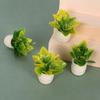 5pcs Plastic 1:12 Dollhouse Miniature Plant Green Luo Plant  Outdoor Doll House Model Accessories