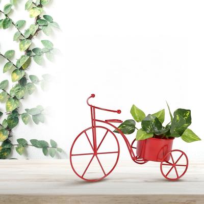 Supporto per piante in metallo a forma di bicicletta per uso interno ed esterno, vaso decorativo per fiori e ornamenti, elegante design in metallo a forma di bicicletta
