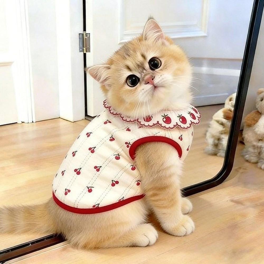 Ruffled Collar Cat Strawberry Vest Cherry Pattern Pet T-shirt Dogs Short Sleeve  Summer Spring