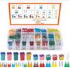 250 Pieces Automotive Fuse Set, Standard Mini Blade, Low And High STD Profile, Box-Shaped, Various Fuses
