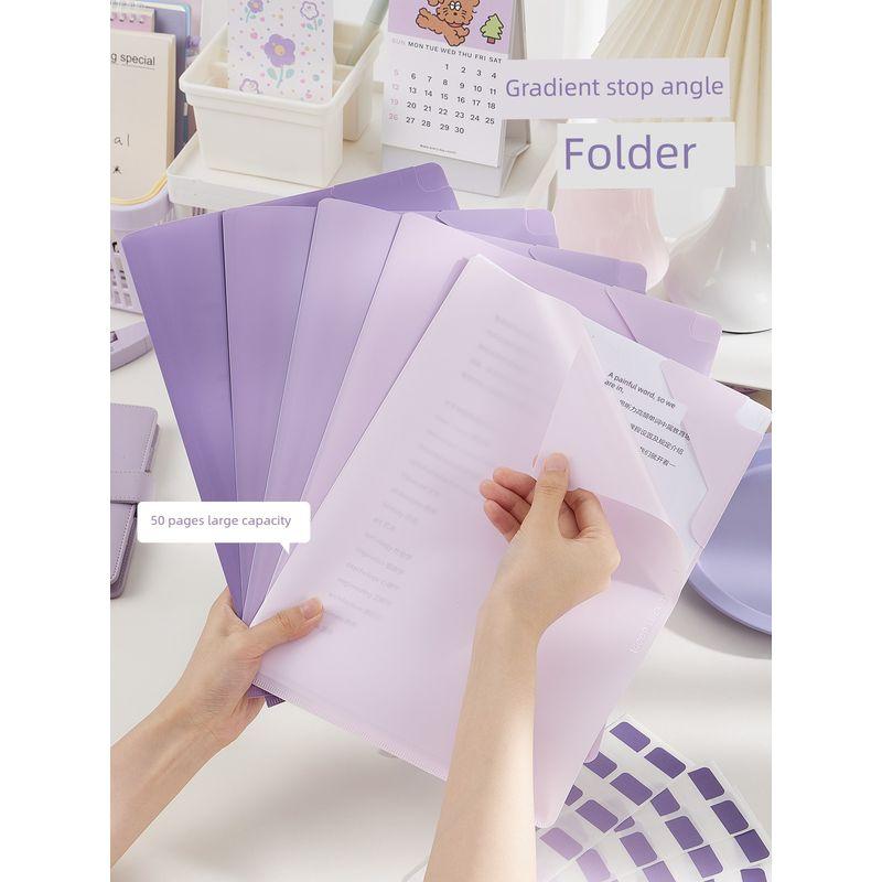 Grade Three Class Two A4 Paper Only for Pupils Folder