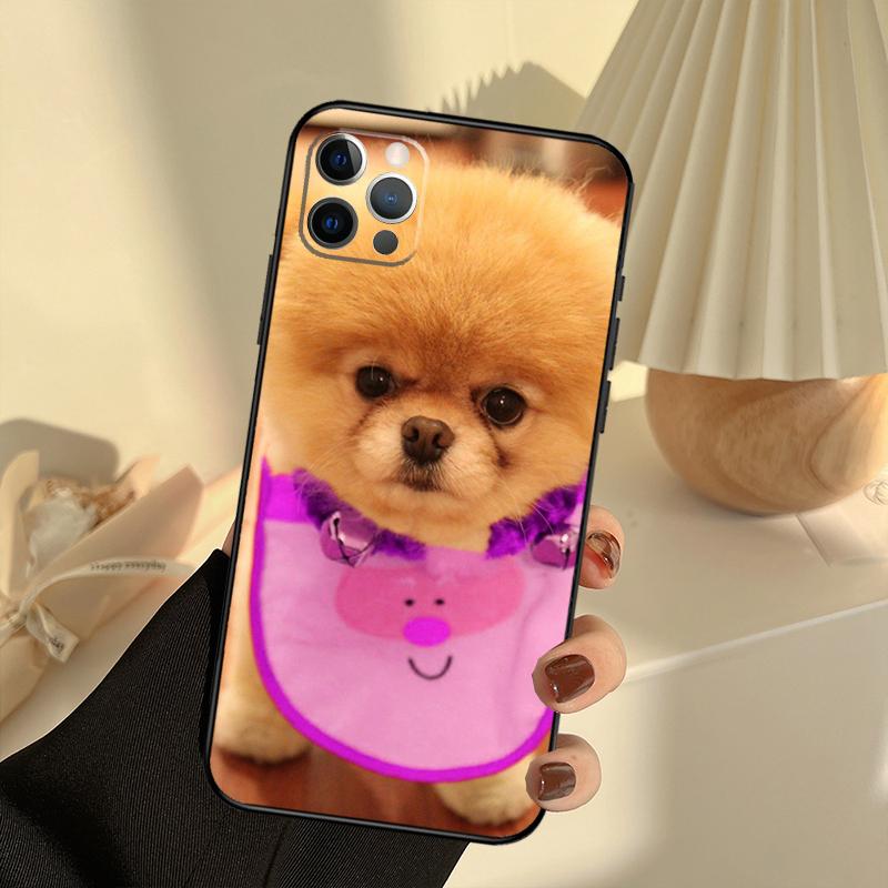 Pomeranian Dogs Dog Colorful Phone Case For iPhone 13 16 15 11 12 14 17 Pro Max 12 mini 15 16 Plus 16e 17 Air Cover Funda
