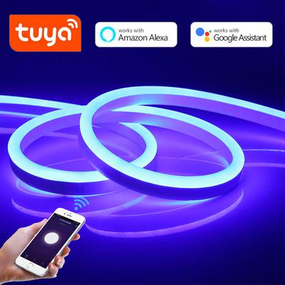 Bandă LED Tuya Smart Life pentru cameră impermeabilă 12V WIFI Neon LED bandă 220V Adaptor de alimentare UE Decorrea casei Alexa Google