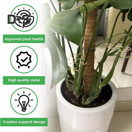 Plant Stem Holder Monstera Plant Stabilizer Metal Plant Support Stem Stabilizer for Indoor Plants Potted Flowers Upright Growth