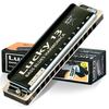 East Top Harmonica, 13-Hole Blues Harmonica In G, for Jazz Professionals, Adults, and Children, Study and Practice, Brass Cover, Canvas Case, Lucky13