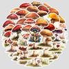 50 Watercolor Mushroom Doodle Stickers: Waterproof Decorative and Creative Fungi Stickers for Phone, Computer, and Stationery