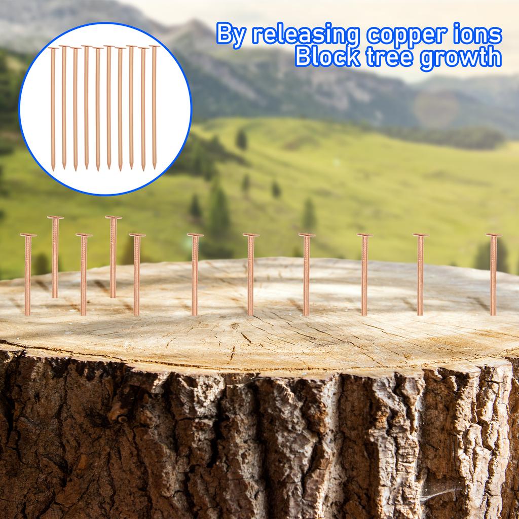 15/20 Pcs Copper Nail for Killing Trees Stumps Root Stump Removal Spikes Hardware Copper Nail Trees Tool Accessories