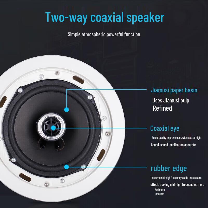 SAST 6.5-inch 5.1 Channel In-Ceiling Speaker System