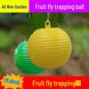 Cross-Border Fruit Fly Trap Ball for Citrus, Melon, and Tree Fruits