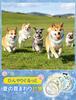 Dog Cooling Pet Neck Cooler Freezing Instant Luminous Extension Part Cooling Ring for Dog Summer Heat Small to Medium White x Size M Neck, [18℃