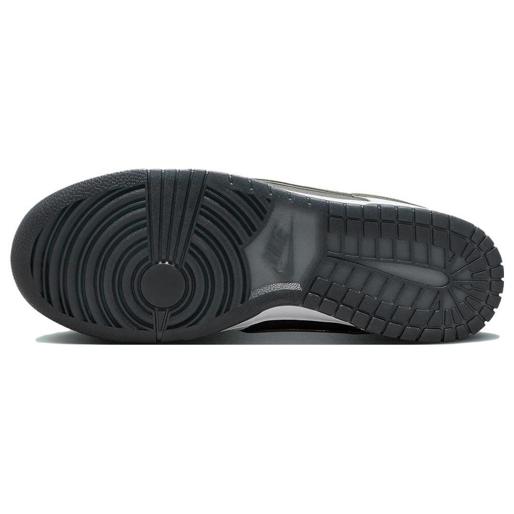 Nike Dunk Low Premium Vert Pâle Chaussures pour Homme Noir Gris Fumée Foncé Blanc FZ1670-001