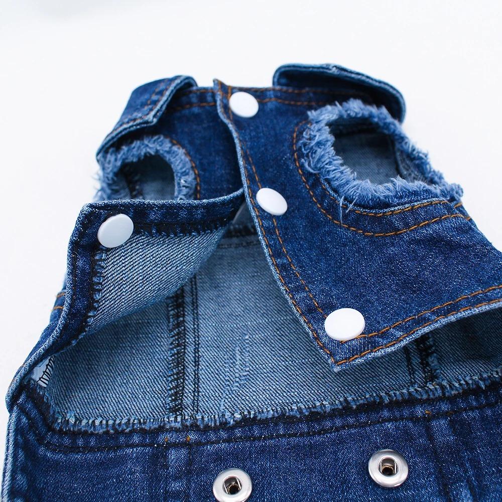 Spring Fashion Denim Dog Jacket, Classical Puppy Clothes for Small Dogs, Chihuahua Jeans, Personalized Pet Costume, 2026