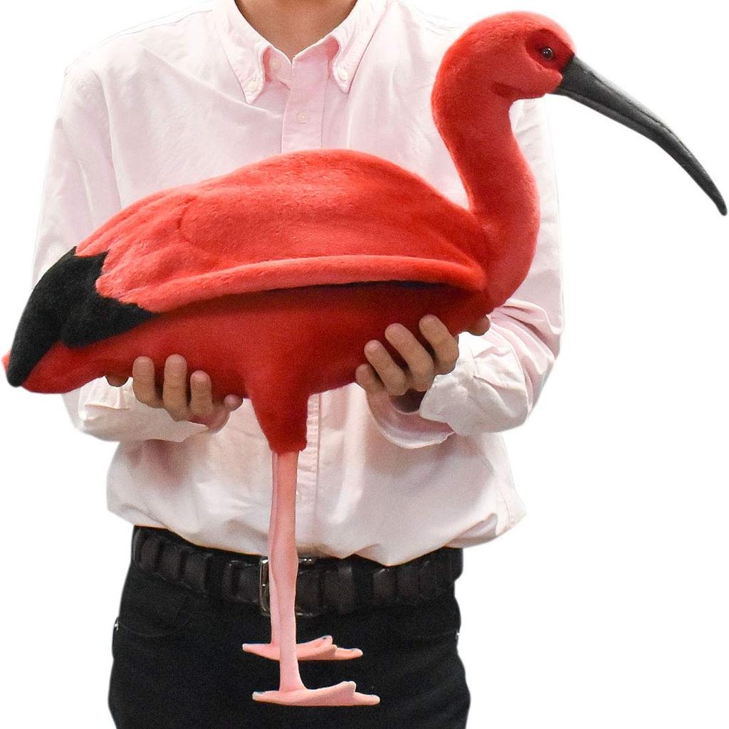 BH8135 HANSA Scarlet Ibis 54