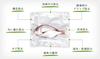 Food Saver Vacuum Sealed 2 [Official] Rolls, 28cm, Rolls, FSFSBF0629C-040