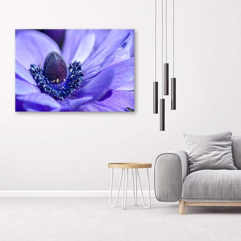 Canvas Print, Blue-violet Flower