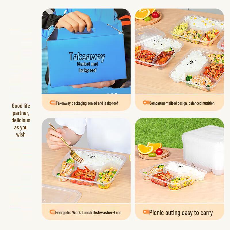 Temeiju Disposable Square 4-Compartment Takeaway Containers with Lids