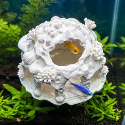 Poissons et animaux marins – Décoration d’aquarium