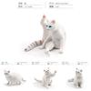 Miniatur PVC-Katzenmodell für Kinder mit realistischem Design für Sammler und Dekoration