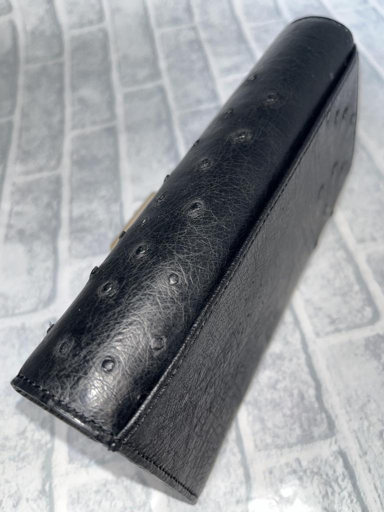 GUODI Long Wallet with Flap, Genuine Ostrich Leather with Card Holder, TK-RP30LW2, Unisex (Black)