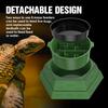 Maze design feeding bowl, water basin, increase the fun of hunting, multiple uses, suitable for reptiles, lizards, chameleons