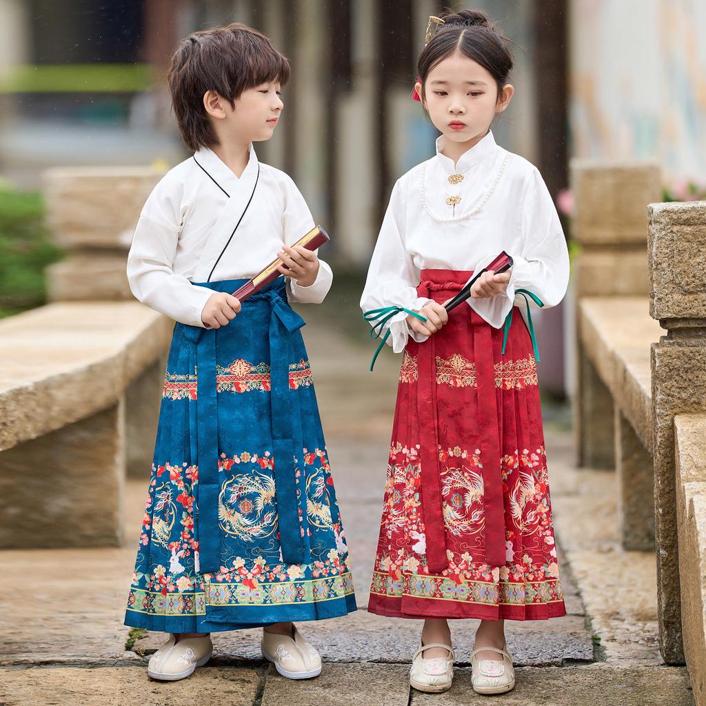 Hanfu Boys' Horse Face Skirt Ancient Costume Tang Suit Top Half Skirt Set