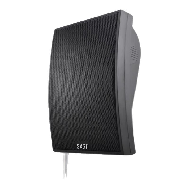 SAST Commercial Wall-Mounted Speaker CN plug (adapter included)