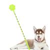 Non-slip Handle Training Dog Stick Claw Shaped Training Dog Whip   Training Educating Dog