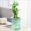 Self Watering Flowerpot Automatic Water Absorbing Flowerpot Double Layer Transparent Plastic Succulent Plant Pot Decorative Pot