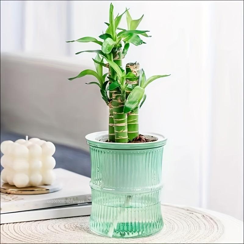 Self Watering Flowerpot Automatic Water Absorbing Flowerpot Double Layer Transparent Plastic Succulent Plant Pot Decorative Pot