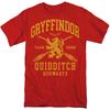 Harry Potter Hogwarts Houses Quidditch Team Unisex Adult T Shirt