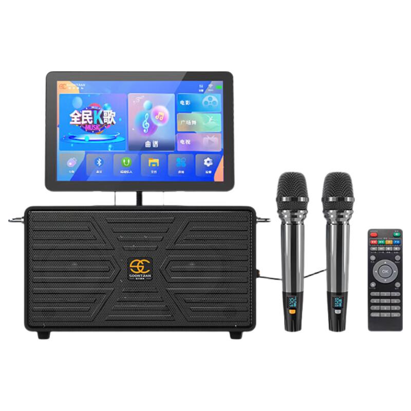 Songchuan Portable Outdoor Bluetooth Karaoke Speaker CN plug (adapter included)