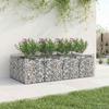 Gabion Raised Bed Set 2 Pcs Silver