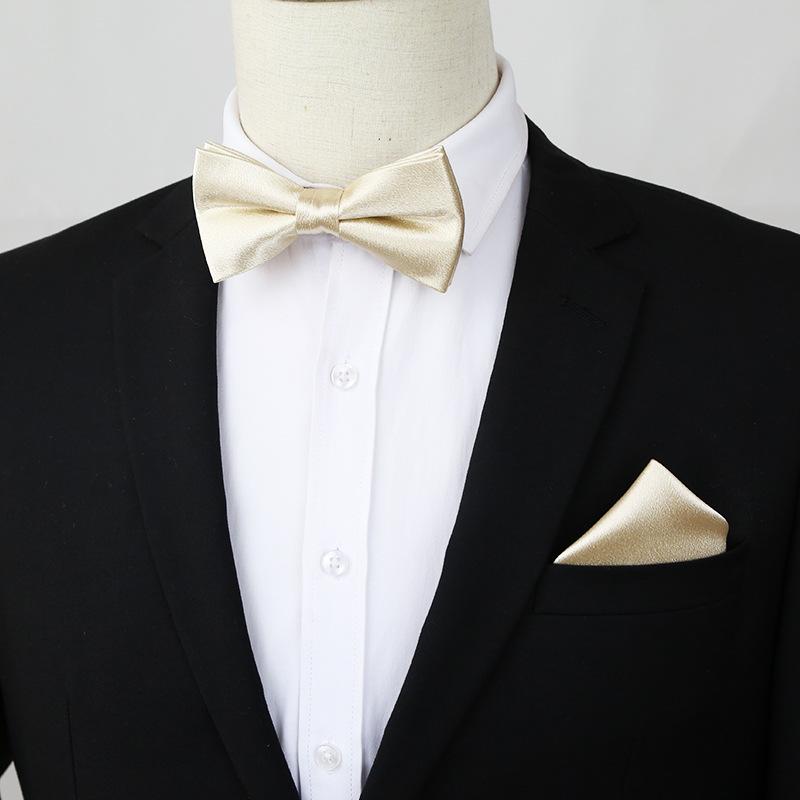 

Аксессуары для мужского делового повседневного платья, комплект из двух предметов: галстук-бабочка, карманное полотенце, галстук