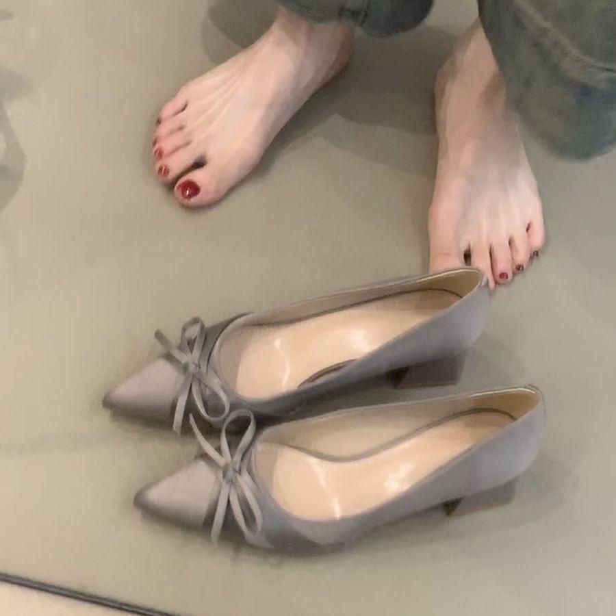 Pointed temperament high heels women's spring and summer new French gentle bow thick heel single shoes light mouth evening commuter shoes