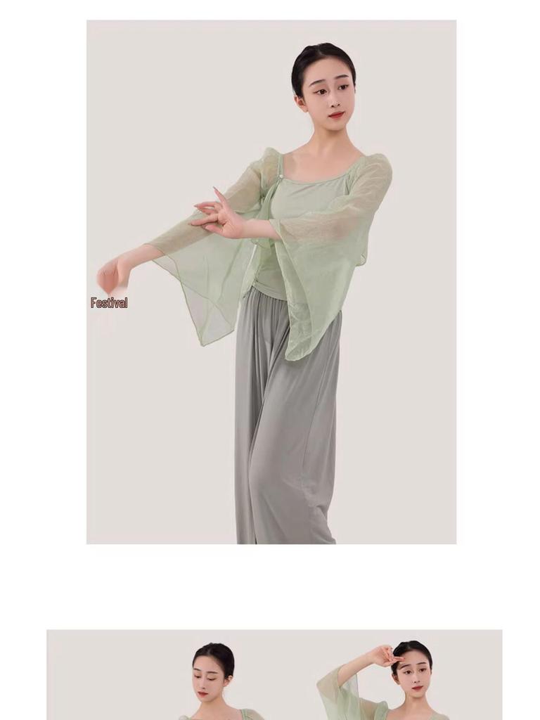 Women's Mesh Long Sleeve Dance Top - Body Shaping, Autumn/Winter, Classical Chinese Style