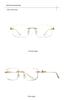Leopard Head Rimless Sunglasses: Women's & Men's Small Square Frame