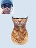 Funny Animal Print Cooling Face Mask – Cat & Dog Pattern UV Protection Neck Gaiter, Easy and Comfortable to Wear
