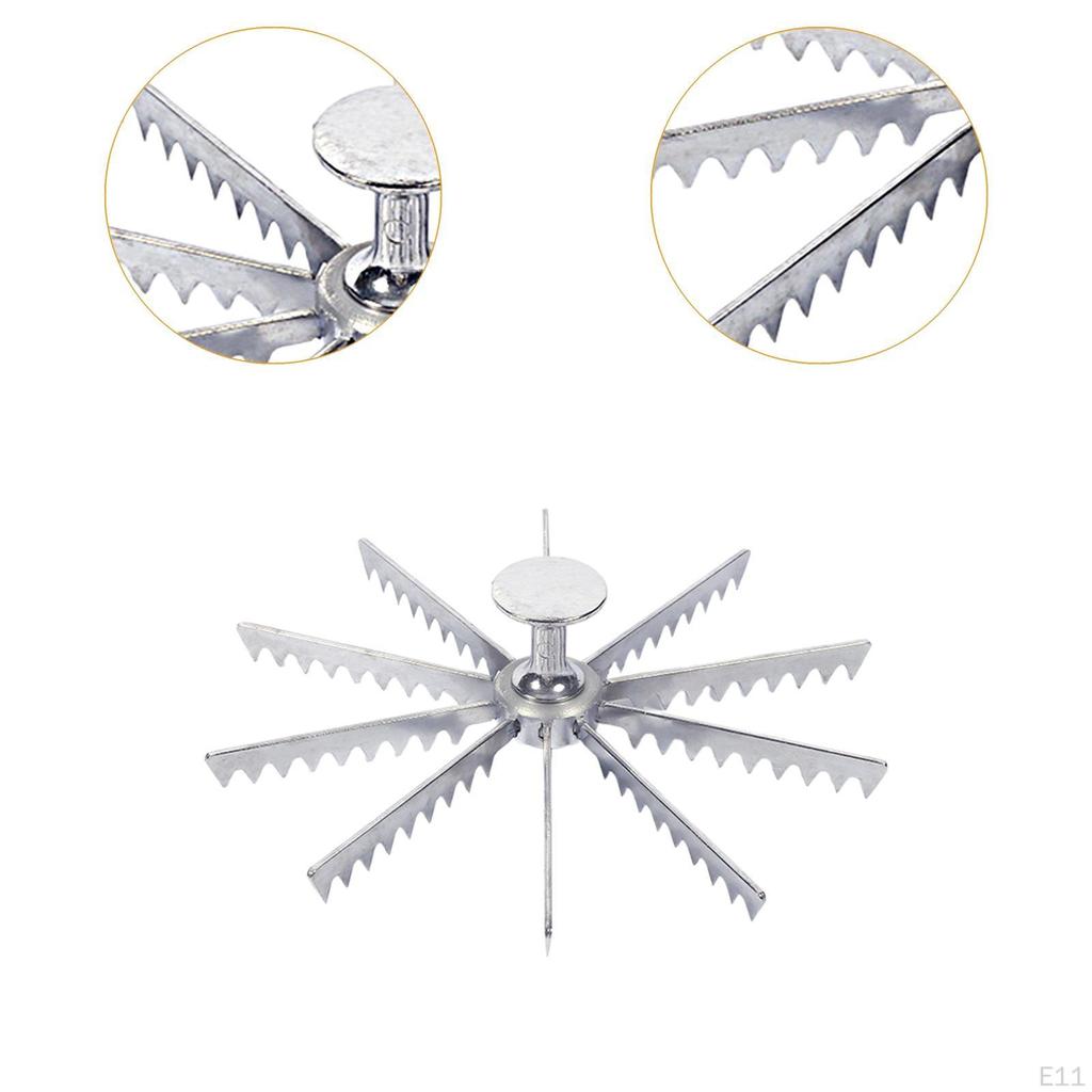 Pie Divider Easy to Use with Handles Cutter for Home Restaurant Domestic 5 Slices