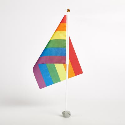 10 pezzi/pacchetto bandiere Gay Pride facili da tenere mini piccole bandiere arcobaleno parata festival