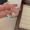 Sweet Luxury Iridescent Zirconia Star Stud Earrings - High-End Niche Design