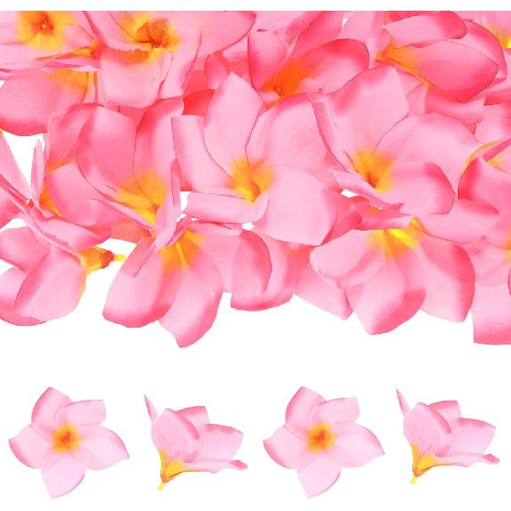 10-Pack Artificial Plumeria Flowers, Fake Silk Heads Flower Hawaiian Plumeria Petal for DIY Crafts/Dress/Wedding/Party Decoration [Champagne+Red,