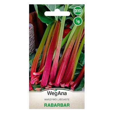 Rhabarber Glaskins Perpetual Samen 1g Rhabarbersamen -