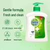 Dettol Antibacterial Hand Wash Set (Moisturizing & Pine)