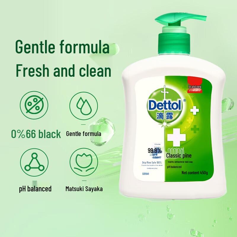 Dettol Antibacterial Hand Wash Set (Moisturizing & Pine)