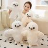 Lazy Seal Plush Toy - Cross-border Sea Lion Doll Cushion Gift